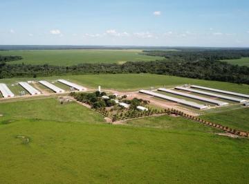 Rural de 90 quartos, Sorriso · Oportunidade - Aviário com oito galpões , integrado na BRF.
