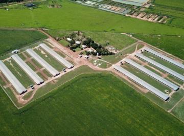 Rural de 90 quartos, Sorriso · Oportunidade - Aviário com oito galpões , integrado na BRF.