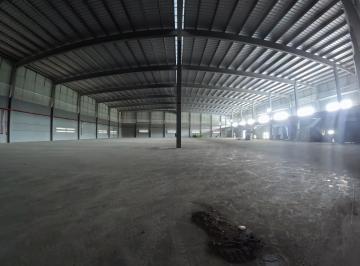 Comercial , Ilhota · GALPÃO NOVO - 3250M2 - PLATAFORMA INTEGRAL