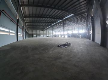 Comercial , Ilhota · GALPÃO NOVO - 6500M2 - PLATAFORMA INTEGRAL - 10 CARRETAS