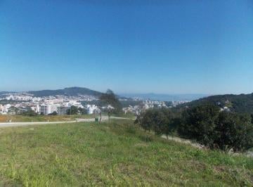 Foto 01 · Terreno à venda - em Itacorubi