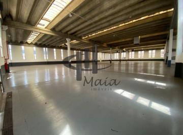 Comercial · 5000m² · Locação Galpão Sao Paulo Parque Anhanguera Ref: 45511