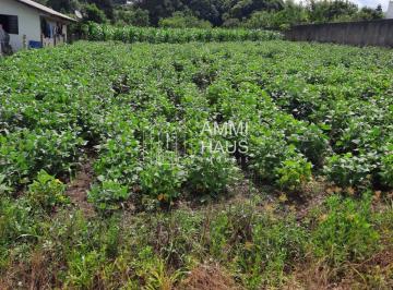 Terreno · 650m² · Chácara em mato branco  -  Contenda