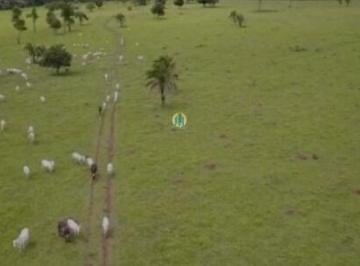 Rural · 440m² · Fazenda à venda em Guapó/GO