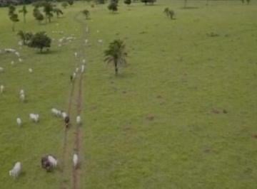 Rural · 440m² · Fazenda à venda em Guapó/GO