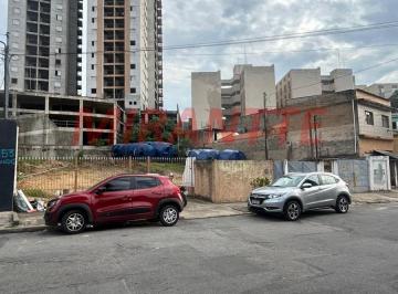 3a87aeaa27d7cae0ba05d07d9164e025.jpg · Terreno