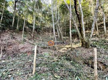 8a8842e05a91ab2222c013b0d67dc8290dfc3608 · Terreno à venda, 5115 m² por R$ 180.000,00 - Estância Piratininga - Suzano/SP