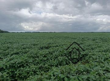 Foto 01 · Fazenda, Palmares do Sul, Palmares do Sul, RS