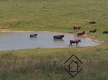 Foto 01 · Fazenda, Santo Antonio da Patrulha, Santo Antônio da Patrulha, RS