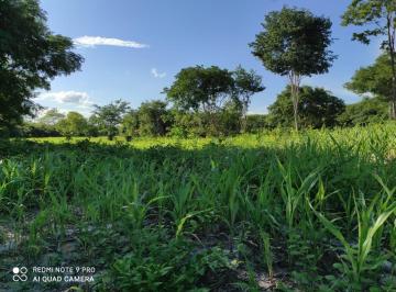 Foto 07 · Fazenda com 520 hectares na Bahia