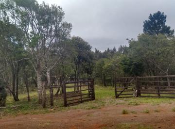 Foto 13 · Terreno em Osório/RS com 2000 m²