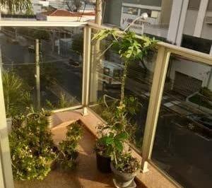 Apartamento · 164m² · 3 Quartos · Apartamento em Boa Vista, São José do Rio Preto/SP de 164m² 3 quartos à venda por R$ 460.000,00
