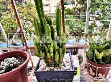 Apartamento · 50m² · 1 Quarto · SALA,  QUARTO COM DEPENDENCIA REVERTIDA, REFORMAO ! ENTRAR E VISTA LIVRE, PANORÃ