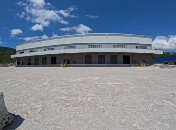 Comercial , Ilhota · GALPAO NOVO PLATAFORMA INTEGRAL DOCAS - 3250METROS