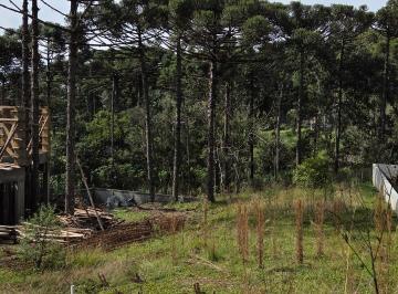 Foto 04 · Terreno, Cascata, Campo Alegre, SC