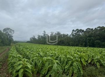 Rural · 42000m² · Sítio à venda no bairro Esperança - Içara/SC