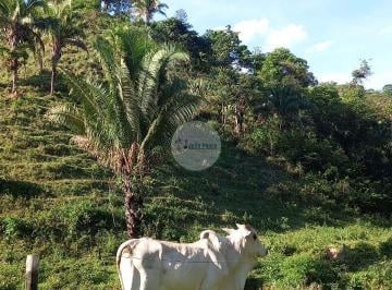 Rural , Planaltina · Fazenda a venda em Planaltina-GO - 142 HA - Aptidão para pecuária.