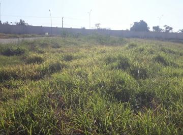 20240611095531_23001272152.jpg · Terreno em Condomínio para Venda em Indaiatuba, Chácara Alvorada