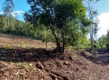Terreno · 20m² · Área de terra bairro Joaneta, Picada Café.RS