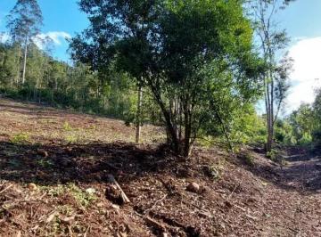 Terreno · 20m² · Área de terra bairro Joaneta, Picada Café.RS