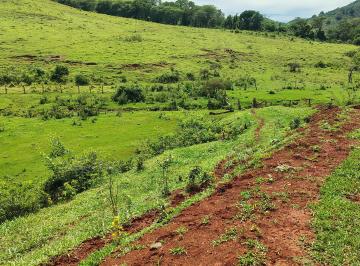 Rural de 1 quarto, São Sebastião do Paraíso · Ótimo sítio para Boi 