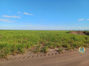 Rural · 13800m² · Fazenda Lavoura em Distrito Agroindustrial de Anápolis, Anápolis/GO