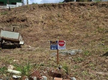 8294920105c66ff026b9ff1b344afec3.jpg · Terreno à venda, 336 m² por R$ 60.000 - Privê Mãe Rainha - Pombos/PE