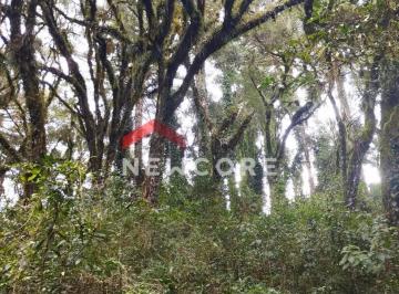Terreno · 567m² · Lote em Rua Arcenio Schimitt - Salto Eletra - São Francisco de Paula/RS