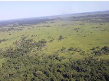 Rural , Poconé · FAZENDA A VENDA NO PANTANAL DE POCONÉ-MT ÁREA TOTAL 88.000 HECTARES