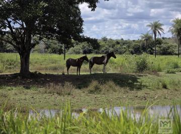 202511181703126895.jpeg · Chácara para Venda em Brasília, Área Rural de Planaltina, 3 dormitórios, 1 suíte, 3 banheiros, 20 va
