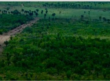 Rural , São Félix do Araguaia · Rurais de 4600 ha en Venda na Zona Rural