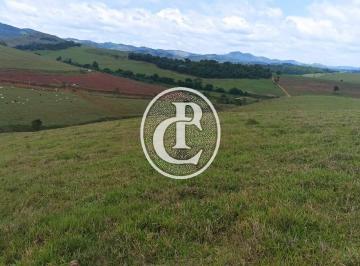 Rural · 726000m² · Fazenda 30 Alqueires topografia média quase 100% tratorável Paraibuna/SP