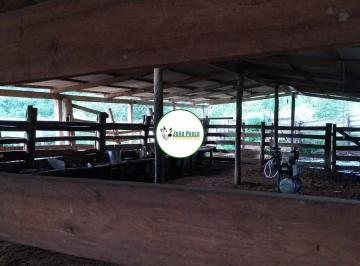 Rural , Porto Nacional · Fazenda a venda em Porto Nacional – TO - 703 hectares - Fazenda PREMIUM
