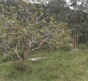 Rural de 4 quartos, Bragança Paulista ·  Bragança Paulista grande área 46.123 m² com 2 casas  abaixo da avaliação