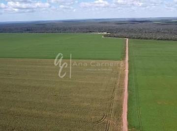 Rural , Campo Novo do Parecis · Vendo Fazenda  Campo Novo dos Parecis MT