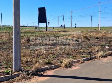 Terreno · Ótima oportunidade pra quem busca um terreno espaçoso, em uma boa localização.