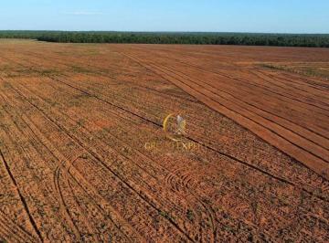 6d07fda36ba46af0fdf1aed82e1146b299f4893e · Fazenda com mais de 9.000 HA a venda em São José do Xingu no Mato Grosso!