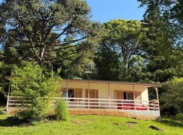 Foto 39 · Imperdível sítio à venda em São Francisco de Paula - RS, bairro Recosta, com 3 quartos, 1 sala, 2 ba