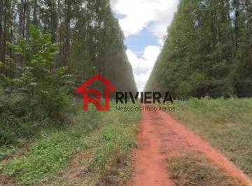 Foto 01 · Oportunidade única: Fazenda à venda no Centro de Vargem Grande-MA com 570,28 hectares de área