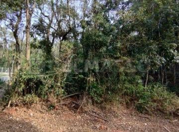 Terreno , Ibiúna · Lindo terreno em meio a natureza!