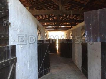 Rural , Ibiúna · Lindo sítio pronto para criação de cavalos!