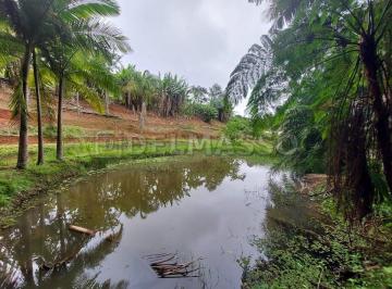 Rural de 3 quartos, Ibiúna · Sítio com 40.000 m² rico em água!