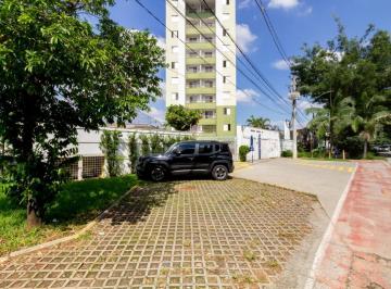 IMG_20260625_001601_000.jpeg · Aconchegante apartamento para venda em Rio Pequeno com 2 quartos, 45m² - remaxjoy#5J264