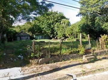 Terreno · 99m² · Terreno à venda - em Campestre do Menino Deus