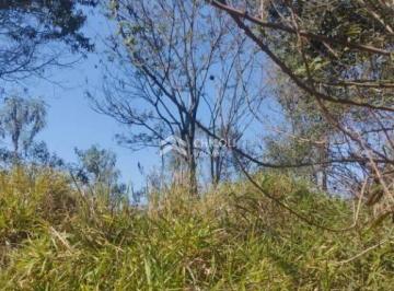 Terreno · 6000m² · Residencial › Lote/Terreno em
