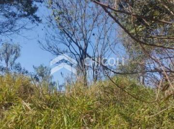 Terreno · 6000m² · TE0661 - Lote/Terreno - Centro - Vargem Grande Paulista