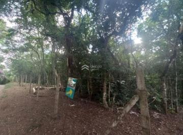 Terreno · 13500m² · Residencial › Lote/Terreno em
