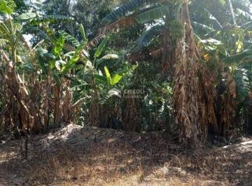 Terreno · 11000m² · Santana Cotia 11.000,00 (M²)