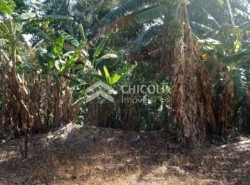 Terreno · 11000m² · TE0426 Lote/Terreno - Santana, Cotia