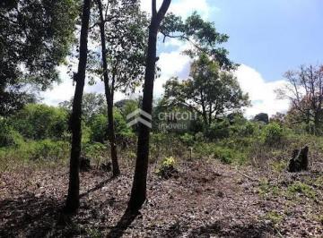 Rural · 4600m² · 2 Quartos · 2 Vagas · Residencial › Chácara em